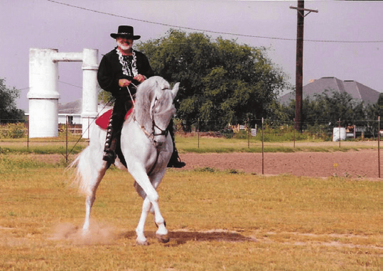 Unleash Your Horse’s Full Potential: Master Precision Riding with Confidence!