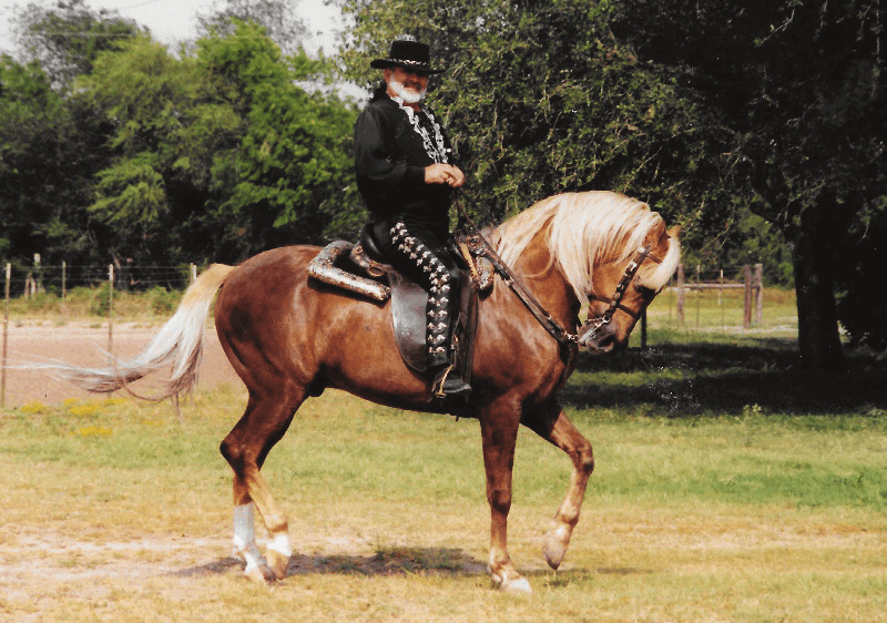 Horse Riding Posture