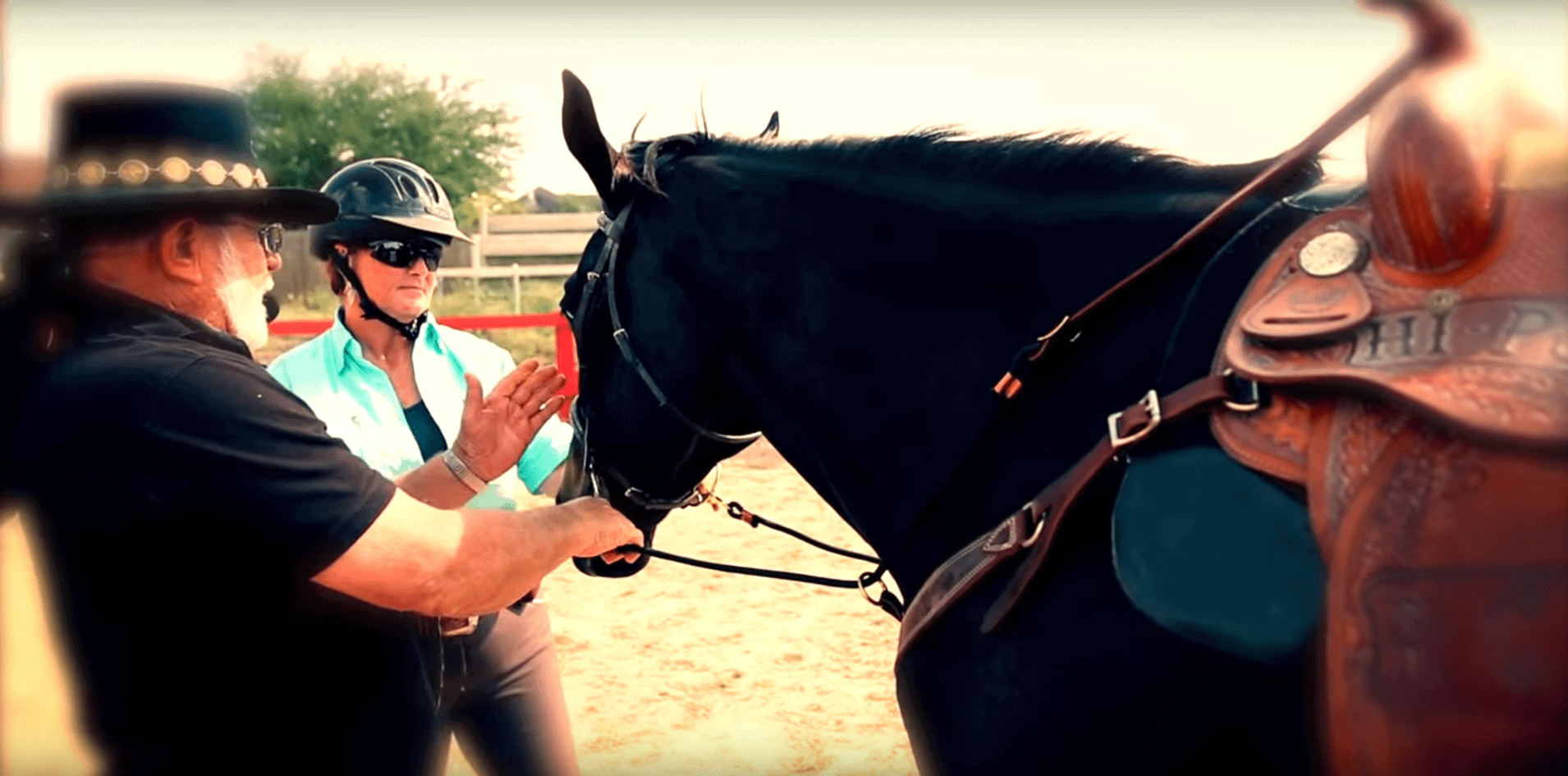 Finding a good horse trainer