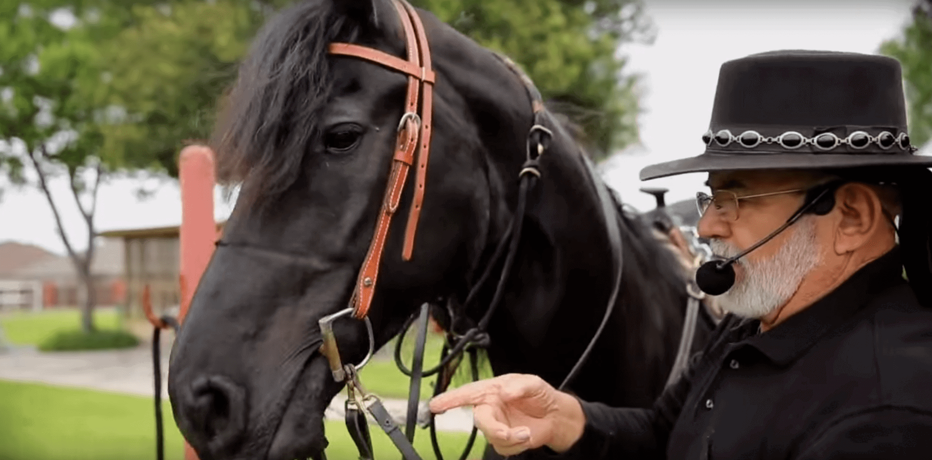 Al Ragusin beside a black horse