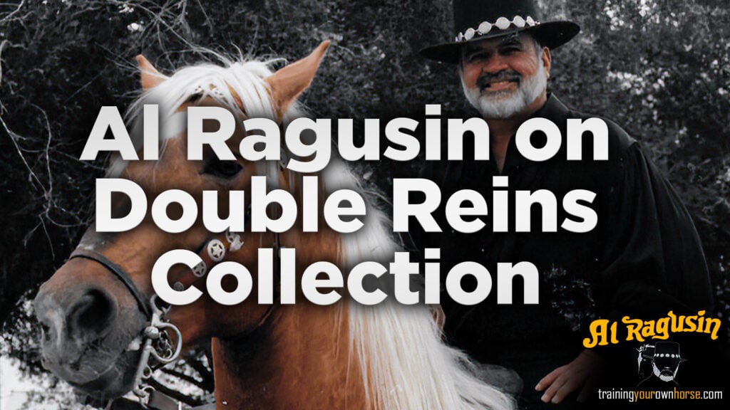 Al Ragusin on Double Reins Collection