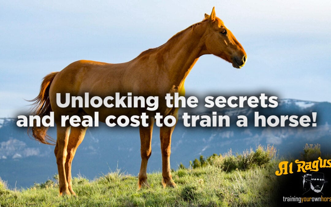 From Colts to Champions: Unlocking the Secrets and 7 Key Factors in the Real Cost to Train a Horse!