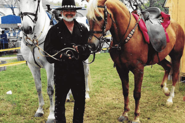 Bungee Reins for Horses: How They Work and Why Trainers Use Them