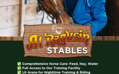 Al Ragusin Horse Stables: 5 Unbeatable Reasons to Choose the Premier Boarding and Training Facility in McAllen