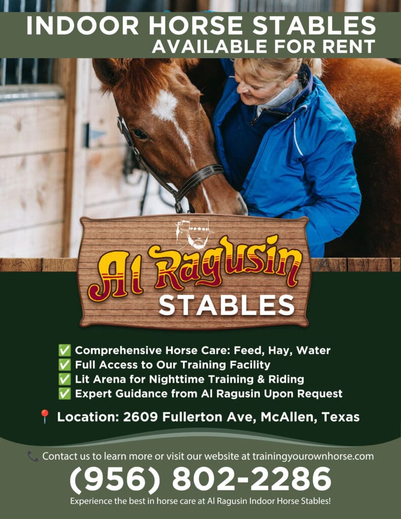 Discover the ultimate horse stabling experience at Al Ragusin Indoor Horse Stables! Expert care, training facilities, and Al's guidance!