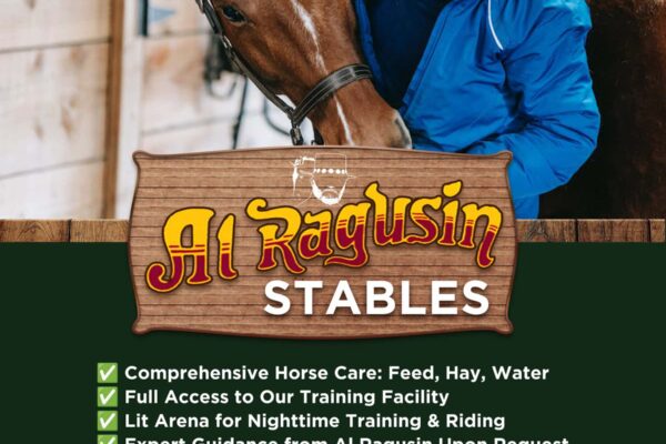 Al Ragusin Horse Stables: 5 Unbeatable Reasons to Choose the Premier Boarding and Training Facility in McAllen