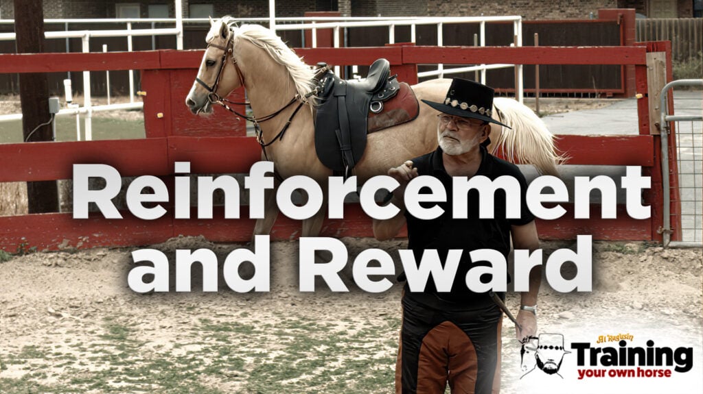 Reinforcement and Reward: Rewarding the Horse for Desired Behaviors and Providing Positive Reinforcement