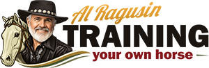 Training Your Own Horse