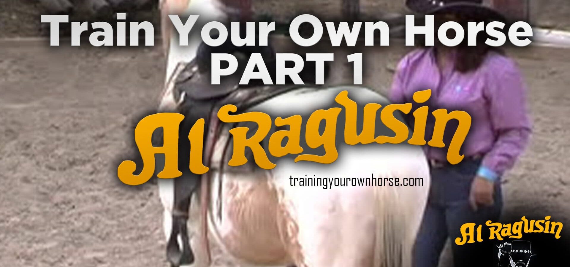 Train Your Own Horse Part 1 — Understanding Your Horse: Herd Instincts & Becoming the Leader
