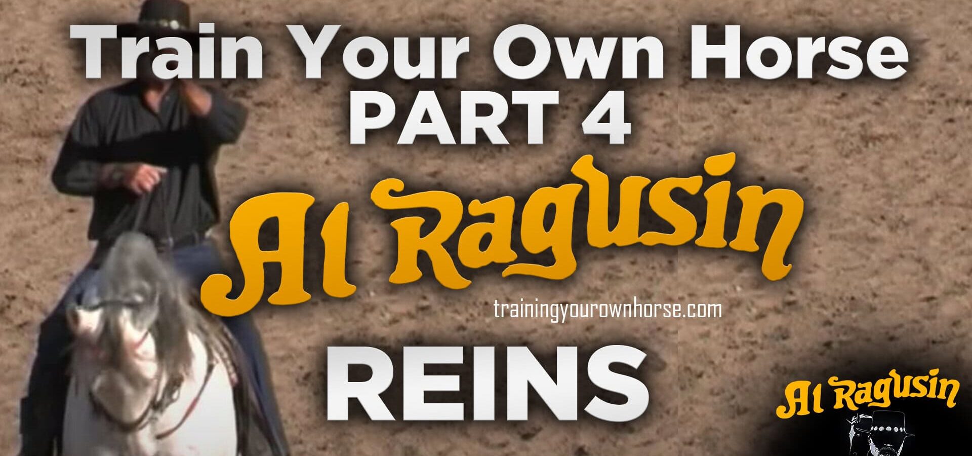 Train Your Own Horse Part 4 — Collection Reins: Why Your Current Setup May Be Failing You