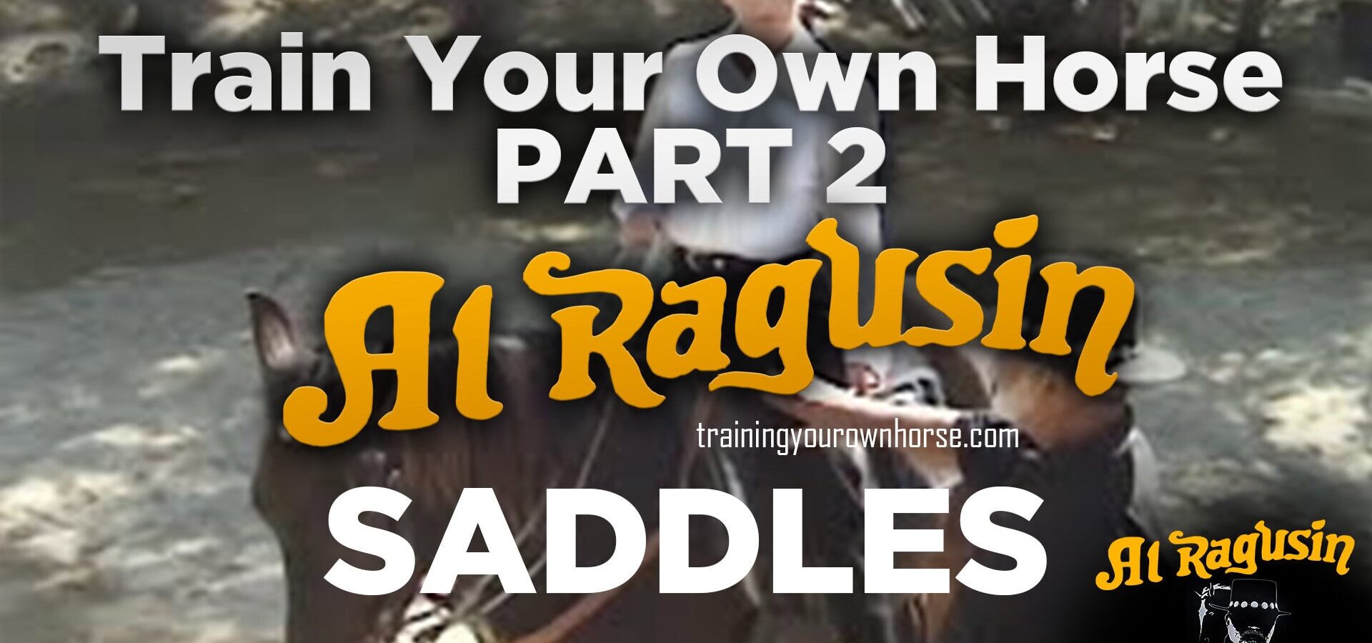 Train Your Own Horse Part 2 — English, Western & Australian Saddles: Which Is Right for You?