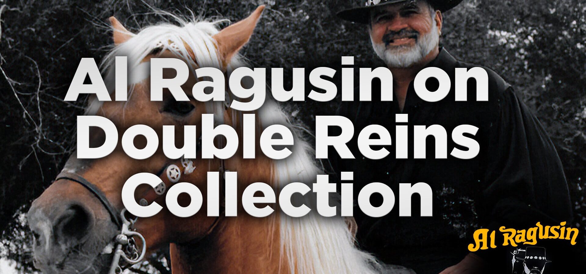 From Colts to Champions: Unlocking the Secrets and 7 Key Factors in the Real Cost to Train a Horse!