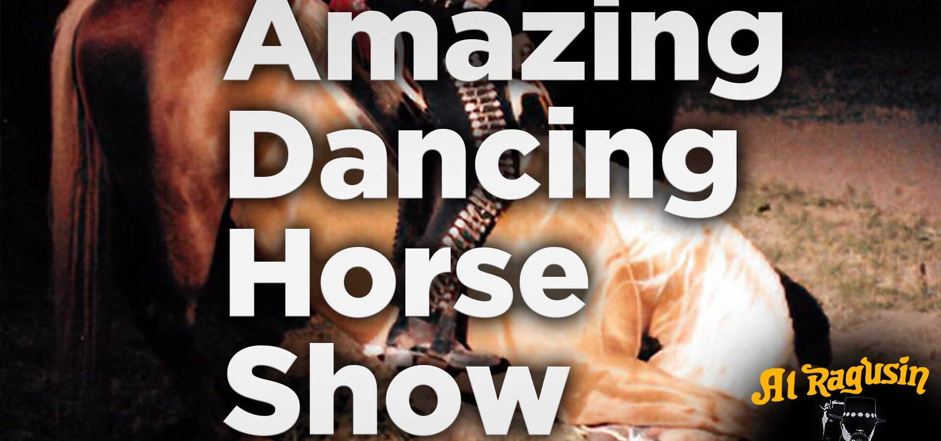 The World’s Only True Dancing Horses — Live Performance