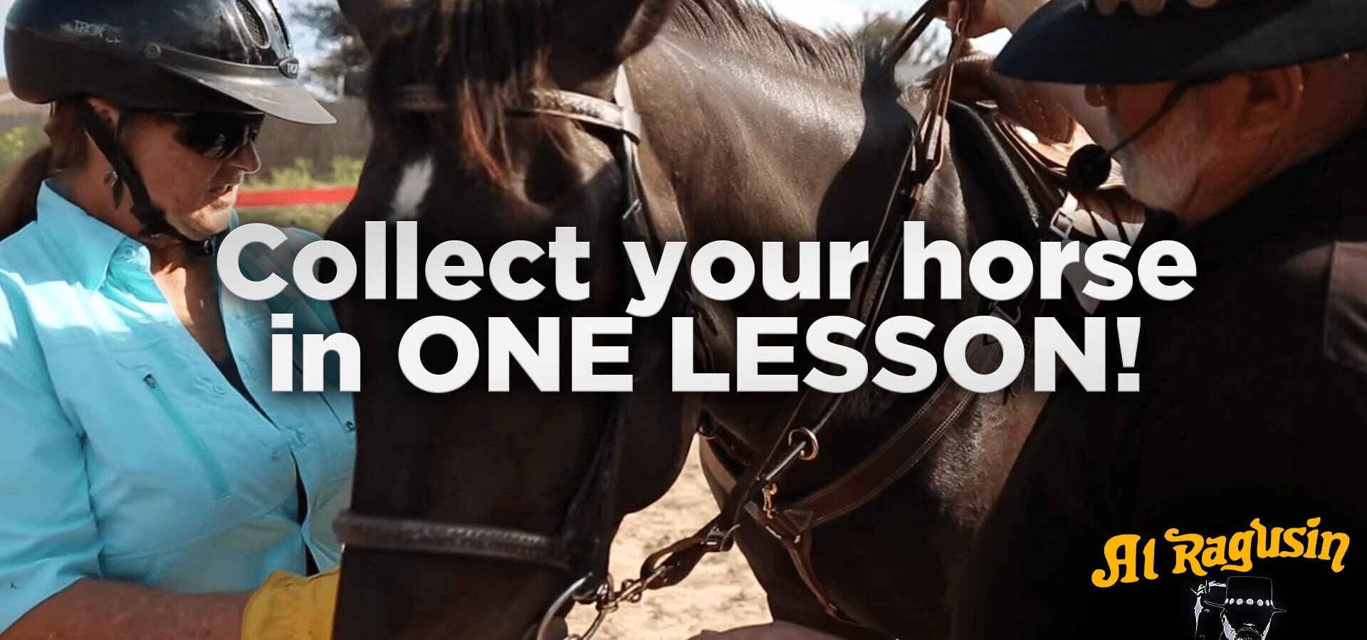 Beginner Rider, Difficult Horse — One Session With the Collection Reins