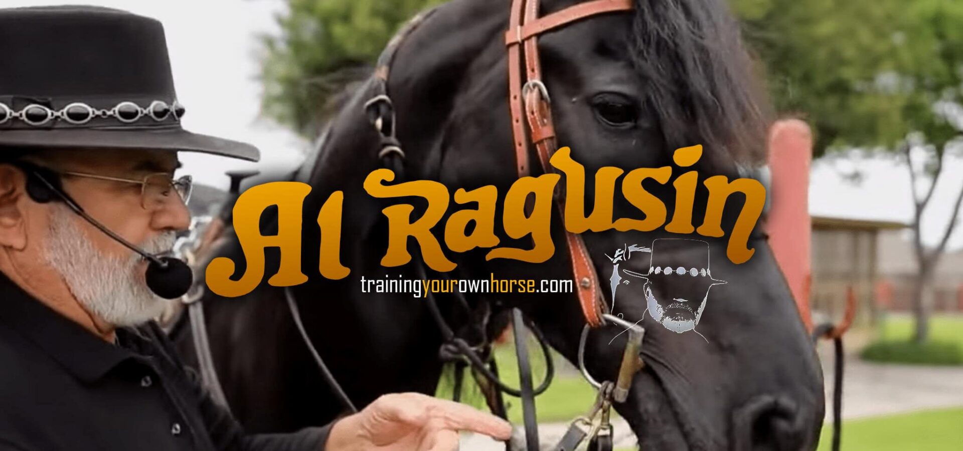 What Is Collection? Why Your Horse Needs It & How the Reins Teach It