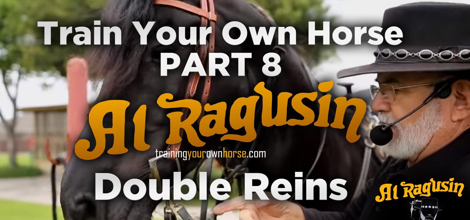 Two Unique Geldings — Training From Scratch With the Collection Reins