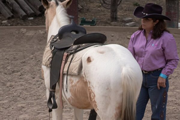 Horse Training: 9 Proven Methods That Actually Work