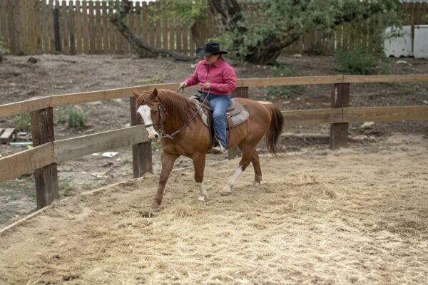 Horse Riding: Your Best 10-Step Guide to Confident Results