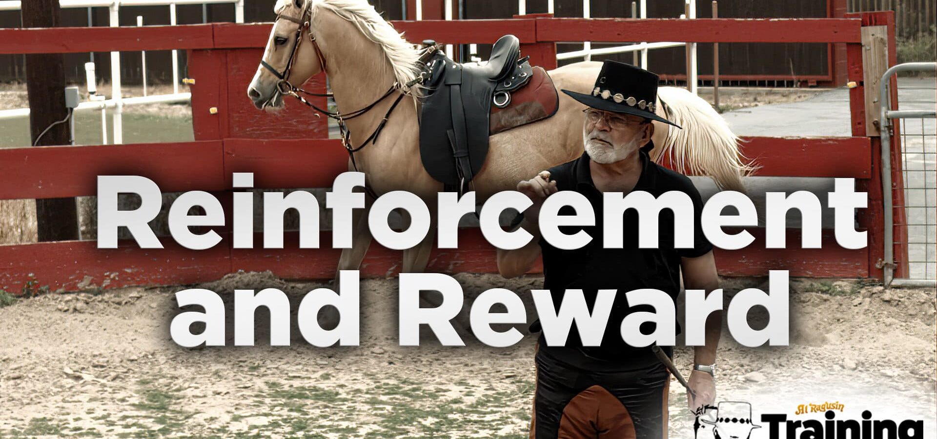 Training Horses with Positive Reinforcement: The Key to Success
